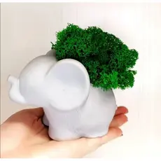 Vaso para Suculentas ou Plantas Artificiais Elefante em Gesso Cru Decoração Criativa Linda Decoração