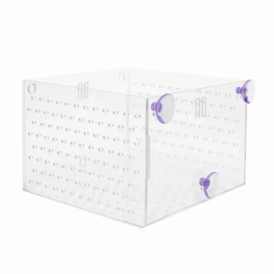 Criadeira Maternidade em Acrílico para Aquário 15x15x10cm – Berçário de Peixes com Fixação por Ventosa