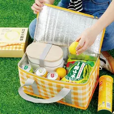 Bolsa térmica Cesto para piquenique com zíper e dobravél para alimento quente ou frio impermeavél