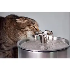 Bebedouro Automático Fonte De Água Corrente Prático 2,5L Cães E Gatos e Filtro