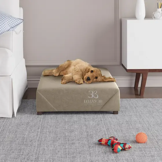 Cama Box Pet Sem Cabeceira Tecido Suede Espuma D28 luxuosa chique fashion caes gato cachorro varias cores