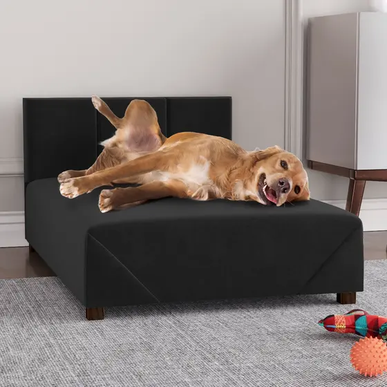 Cama box pet 60 cm pequeno e médio porte conforto caes gato cachorro espuma D28 cabeceira tecido suede pés de madeira