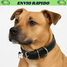Coleira Cachorro Grande Couro Reforçado Com Ajuste Promoção