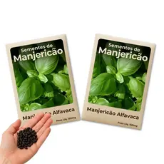 Semente de Manjericão Alfavaca Perfeita Para Horta Caseira ou Floreira na Varanda Combo 2 Pacotes