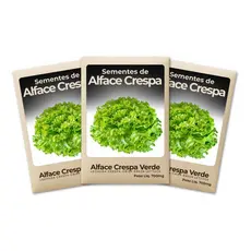Sementes Alface Crespa Verde Rendimento Superior Feltrin Produção Constante Horta Caseira-Combo 3un
