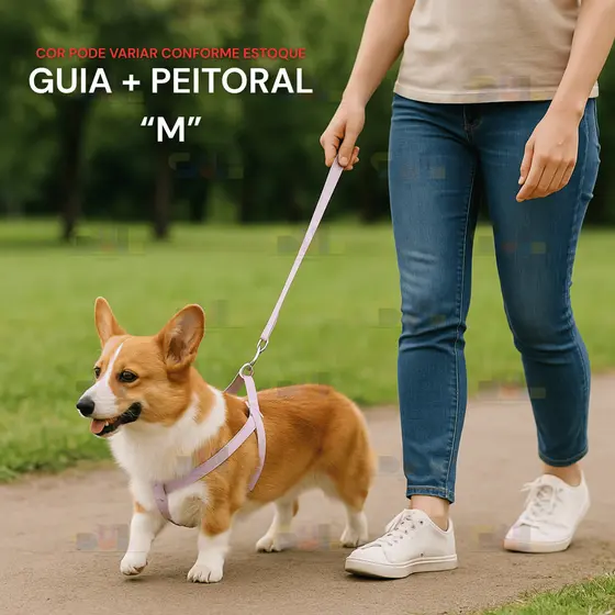 Conjunto de GUIA COMPLETO + Coleira Peitoral COURO Cachorro Pet Cachorros Dogs Animal