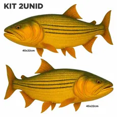 Adesivo Peixe Dourado Rei Do Rio Pesca Fish Gold Kit 2unid