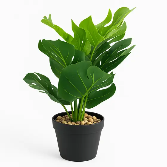 Planta Artificial Costela de Adão com Vaso e Pedras Decoração Interna Elegante e Realista