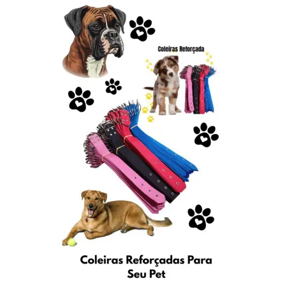 coleira para cachorro