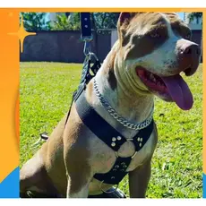 Peitoral Reforçado Ideal Para Cachorros De Grande E Médio Porte Pitbull American Bully.