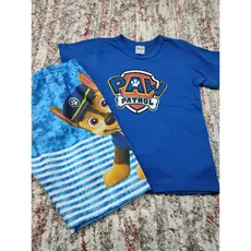 Roupa Infantil Patrulha canina ,Homem Aranha,Mickey Short e Camiseta Temática Festa Aniversário Fantasia