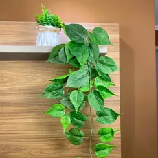 Kit com 2 Arranjos de Flores artificias Decorativas com  Folhagens Artificiais: Pendente folhagem e vasos com laço