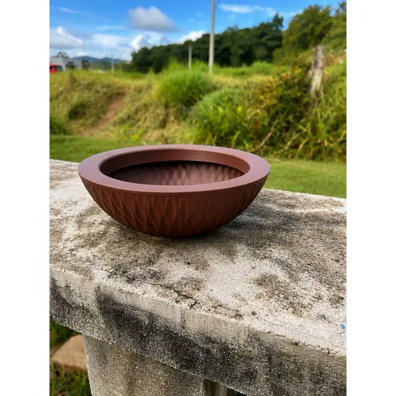 Vaso Bacia Rosa Do Deserto Cuia P/ Plantas E Suculentas