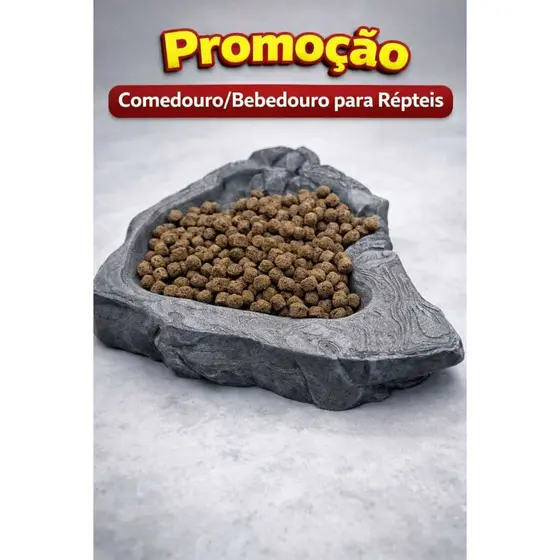 Comedouro / Bebedouro para Tartarugas, Jabuti– Resistente e Natural