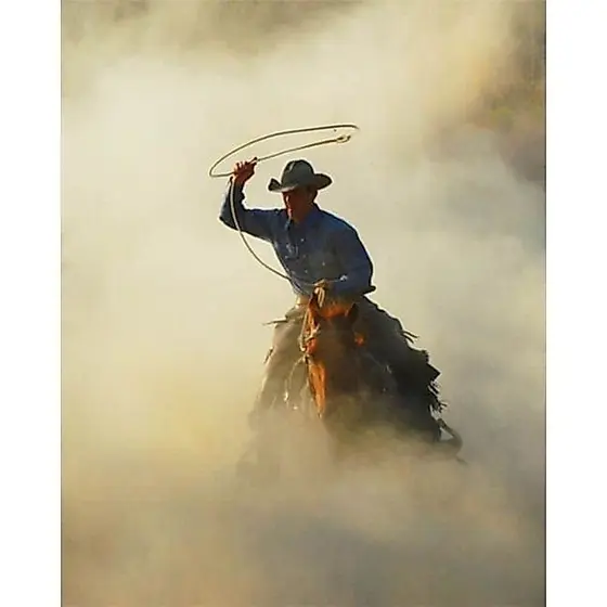 QUADRO DECORATIVO PLACA MDF-BOIADEIRO NA FUMAÇA COM SEU CAVALO RODANDO A CORDA NO AR
