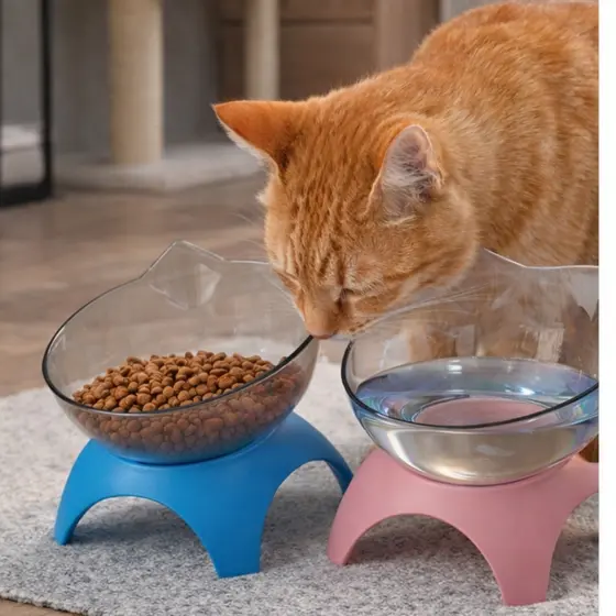 Comedouro para Gato Comedouro Pet Elevado Tigela para Gatos de Acrilico