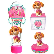 Kit 35 Patrulha Canina Skye [caixinha Latinha Tubete]