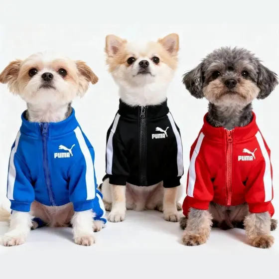 Roupa De Cachorro Moletom Para Cães Pequeno Casaco De Estimação Com Zíper Gato Colete Pug Jaquetas