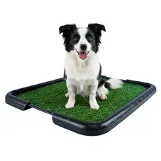 Sanitário Tapete Higiênico Grama Sintética Xixi Cachorro Cães Canino Banheiro