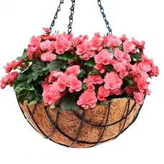 Vaso De Pendurar Hagra 40cm Pendente Ferro Fibra Coco