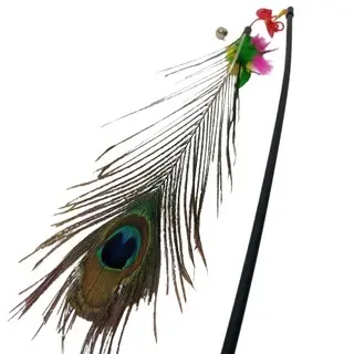 Varinha Com Pena Pavão Fishing Guizo Brinquedo para Gatos Item Pet
