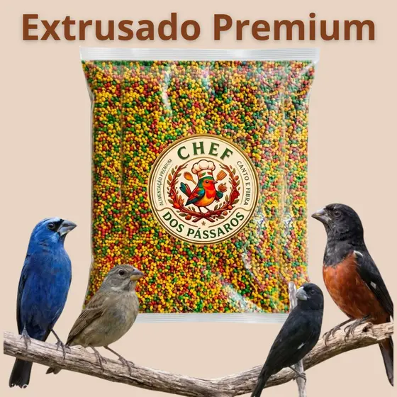 Extrusada Premium 5 Kg CURIÓ BICUDO PIXOXÓ AZULÃO Ração CHEF dos PÁSSAROS