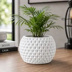 Vaso 3D Atlas Com Prato Coletor Recipiente Cachepot | Premium | Para Plantas Suculentas | Decoração Moderna