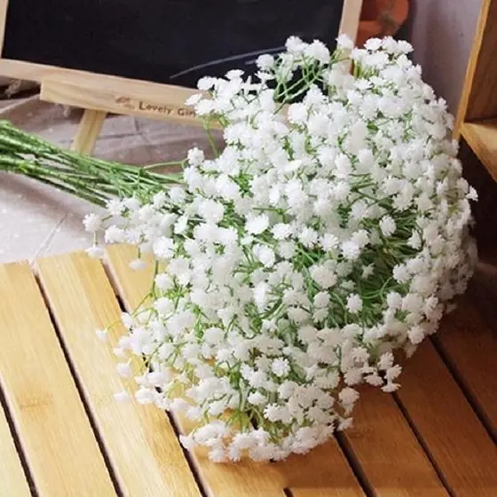 alta germinação 30 Sementes de flor véu de noiva e/ou Mosquitinho Branco