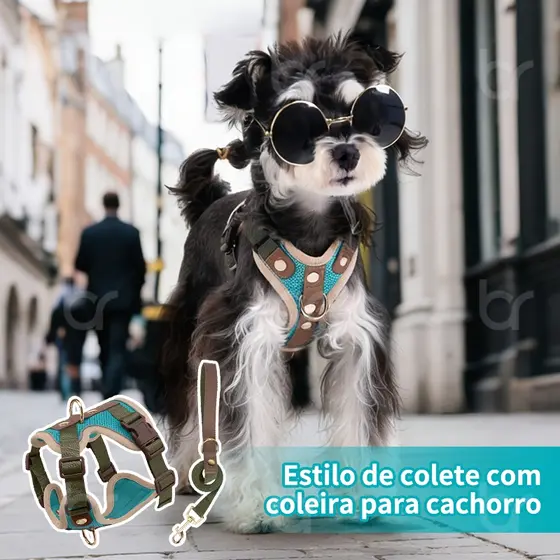 Peitoral com Guia para Cachorros e Cães de Pequeno a Médio Porte Passeio Resistente Confortável Ajustável