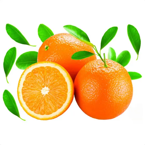 Adesivo Decorativo Fruta Laranja Geladeira Parede Vitrini Papel adesivo parede adesivo de parede
