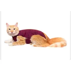 ROUPA PÓS-CIRÚRGICA PARA GATOS DE 0 A 05