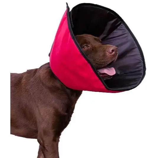 Colar com Velcro do 0 ao 03