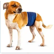 Protetor De Fralda Para Cão Macho