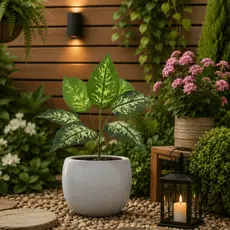 Planta Artificial Comigo Ninguém Pode Planta Decorativa Arranjo Decoração Casa Sala Pronta Entrega