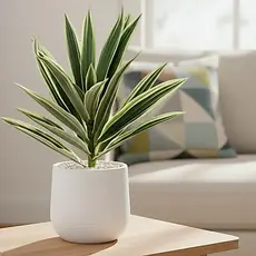 Planta Artificial Yucca 25cm Decoração Sala Jardim Planta Decorativa Sem Vaso