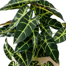 Alocásia Artificial 45cm 29 Folhas Planta Decorativa Realista Folhagem sem Vaso Jardim