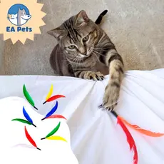 Refil Da Varinha Flying Cat Da Pet Games Com 6 Iscas Penadas Para Gato Brinquedo Para Caçar
