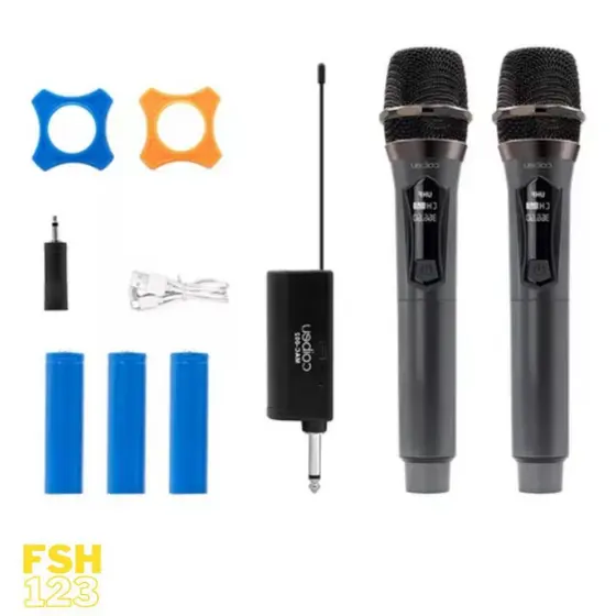 Microfones Dinâmico Sem Fio Duplo Profissional Recarregável Uhf Conjunto de microfone de um a dois - FSH 123