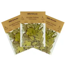 Chá de Goiabeira Folhas Verdadeiro Psidium guajava 100% Natural Seleção Premium Qualidade – Leve 3 Pacotes