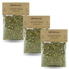 Chá de LEVANTE Legítimo Mentha viridis 100% Puro Infusão Natural Selecionada de Qualidade – Leve 3 pacotes