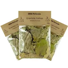Graviola Folhas para Infusão Verdadeiro 100% Natural Qualidade Premium Rendimento – Combo com 3 Pacotes
