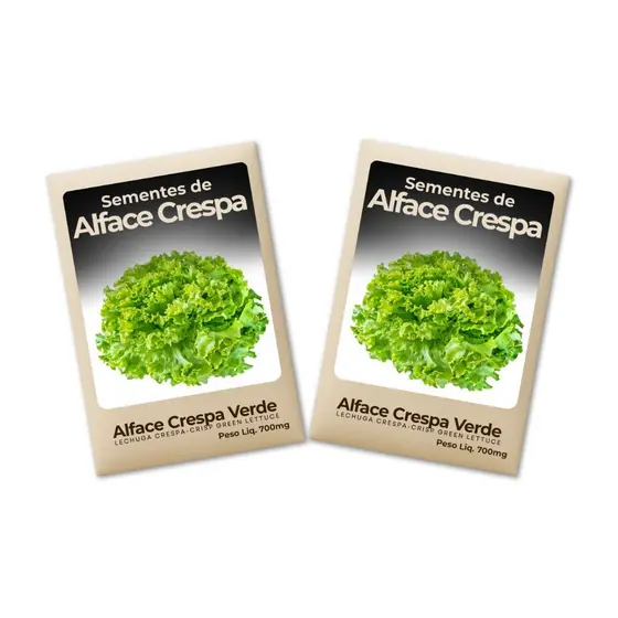 Sementes Alface Crespa Verde Alta Pureza Cultivo Seguro Hortas Domésticas Rendimento-Kit 2un