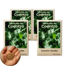 Comprar Semente De Coentro Verdão Ideal Para Quem Quer Cultivar Temperos Frescos - Leve 4 Pct