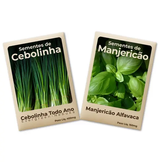 Semente de Cebolinha e Manjericão resistentes e puras para horta urbana ou rural Kit 2Pct