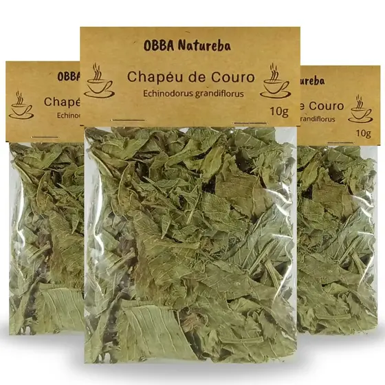 Chá de Chapéu de Couro Verdadeiro Echinodorus grandiflorus 100% Natural Folhas e Caules – Leve 3 Pacotes