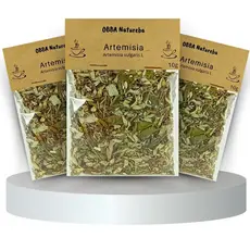 Chá de Artemísia para Infusão Artemisia vulgaris Legítima Natural Selecionada – Kit com 3 Pacotes