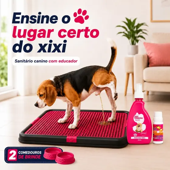 Sanitário Canino Grande Lavável Com Adestrador Pet Xixi Pode e Não Pode Banheiro