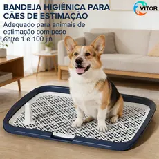 Tapete Higiênico para Cachorro Reutilizável com Grade, Banheiro Pet para Filhotes e Cães Pequenos e Médios VITOR