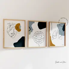 Quadro Decorativo Anatomia Humana, decoração casa Quadro Decorativo Medicina Minimalista tamanho grande Decoração para sala casa cozinha quarto Quadro decorativo Corpo Humano abstrata Moderno Decoração Corpo Humano Retro arte #27