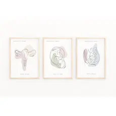 Quadro Decorativo Anatomia Humana, decoração casa Quadro Decorativo Medicina Minimalista tamanho grande Decoração para sala casa cozinha quarto Quadro decorativo Corpo Humano abstrata Moderno Decoração Corpo Humano Retro arte #33